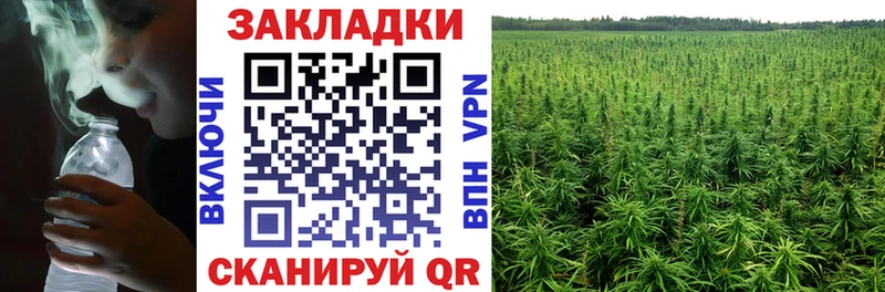 Продажа наркотиков Губкинский Гашиш  Alpha PVP  Кокаин  Амфетамин  Бошки Шишки  Метамфетамин  Меф мяу мяу 