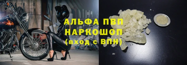 ECSTASY Горнозаводск