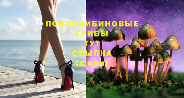 ECSTASY Горнозаводск