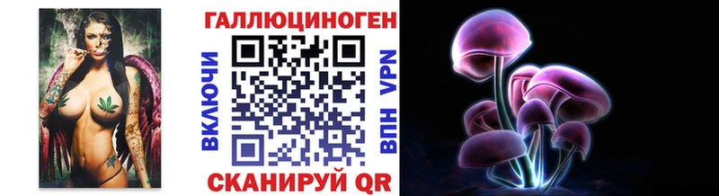 где купить наркотик  Губкинский  Галлюциногенные грибы Psilocybe 